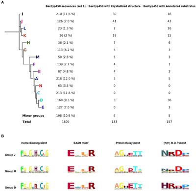 Bacterial cytochrome P450s: a bioinformatics odyssey of substrate discovery